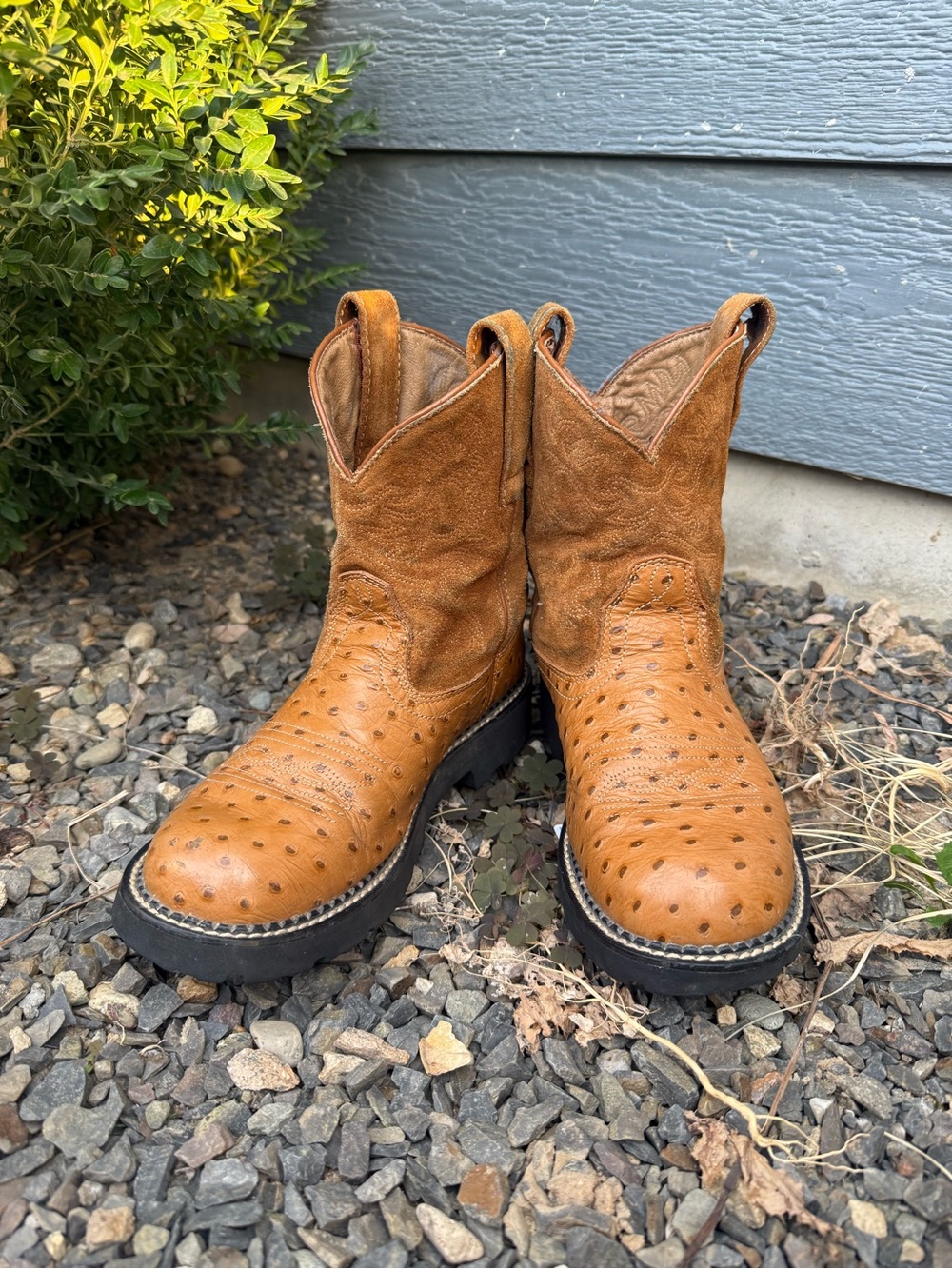 Ariat Fatbaby Women's 8B Brown Ostrich Print Leather & Suede Western Boots